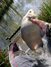 IMG_20180321_111150541