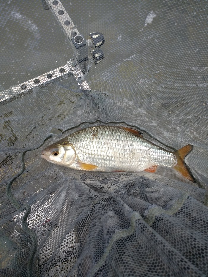 IMG_20180409_112452283_HDR