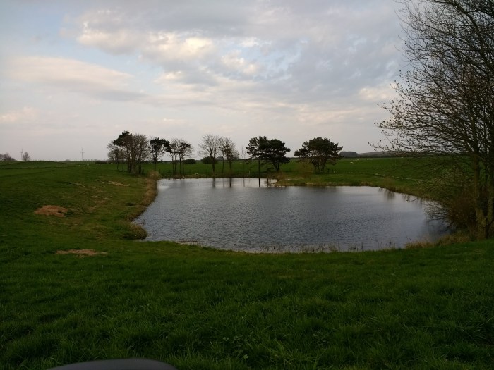 IMG_20180421_174230290_BURST000_COVER