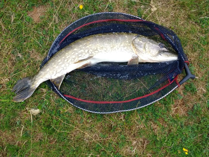 IMG_20180819_131703400_HDR