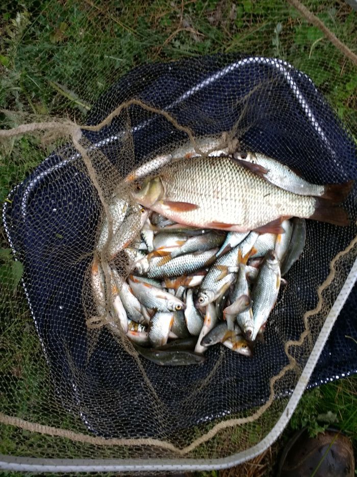 IMG_20180906_162309785_HDR