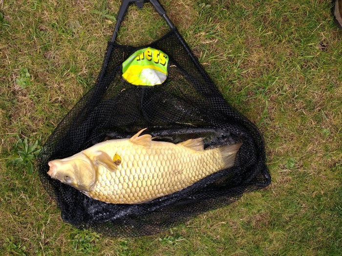 IMG_20180917_152553673