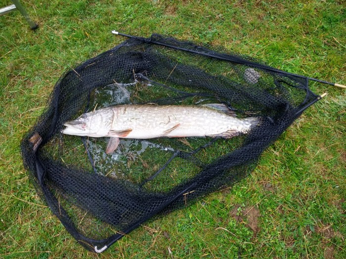 IMG_20181015_112232068_HDR