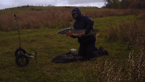 20lb pike (2)