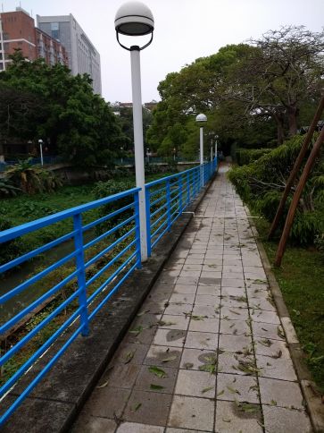 IMG_20190310_180200883