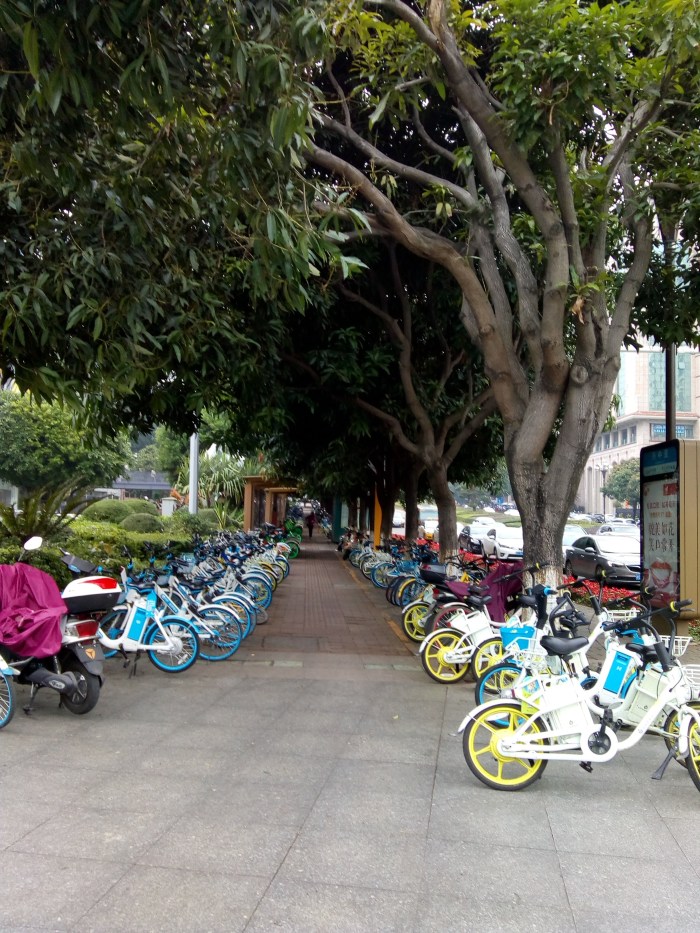 IMG_20190315_140034329