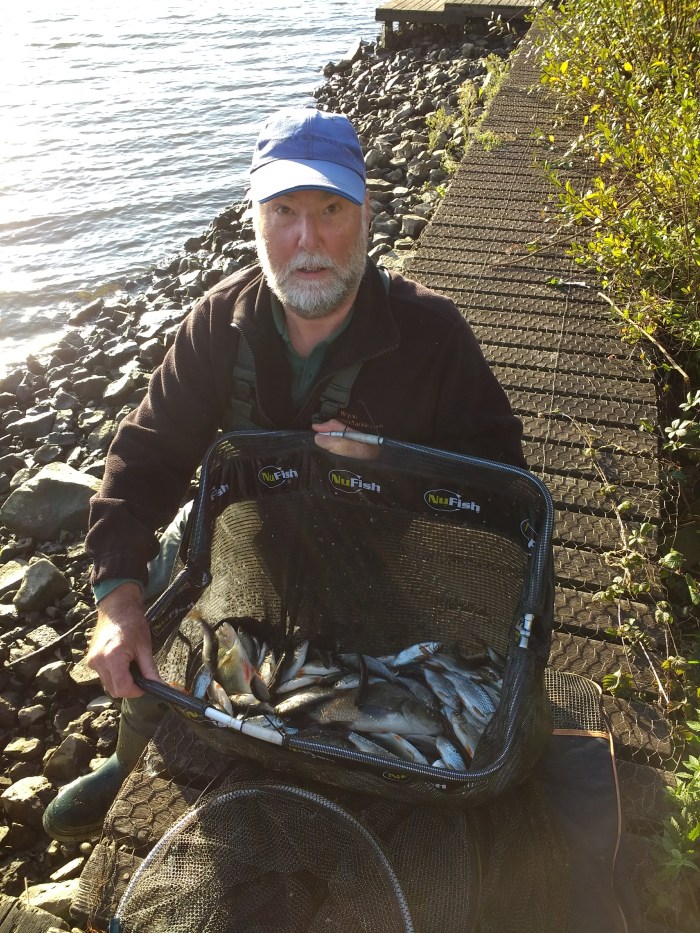 IMG_20191006_171934786