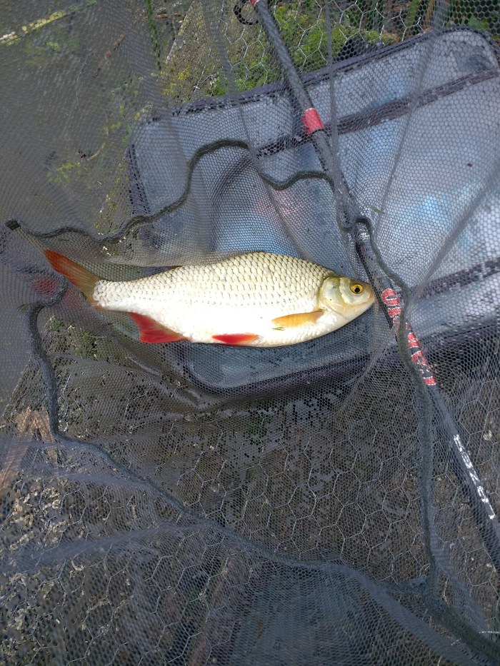 IMG_20191020_112229719