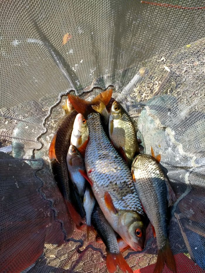 IMG_20191022_135330444_HDR