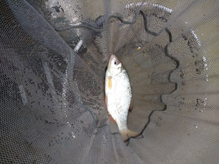 IMG_20191126_105211364