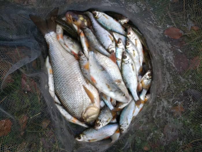 IMG_20191126_130627830_HDR