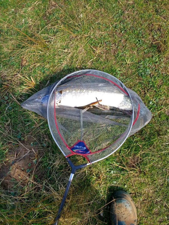 IMG_20200311_132610061_HDR