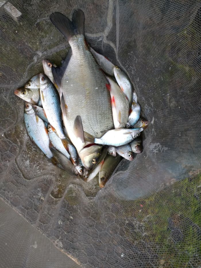 IMG_20200313_145148293_HDR