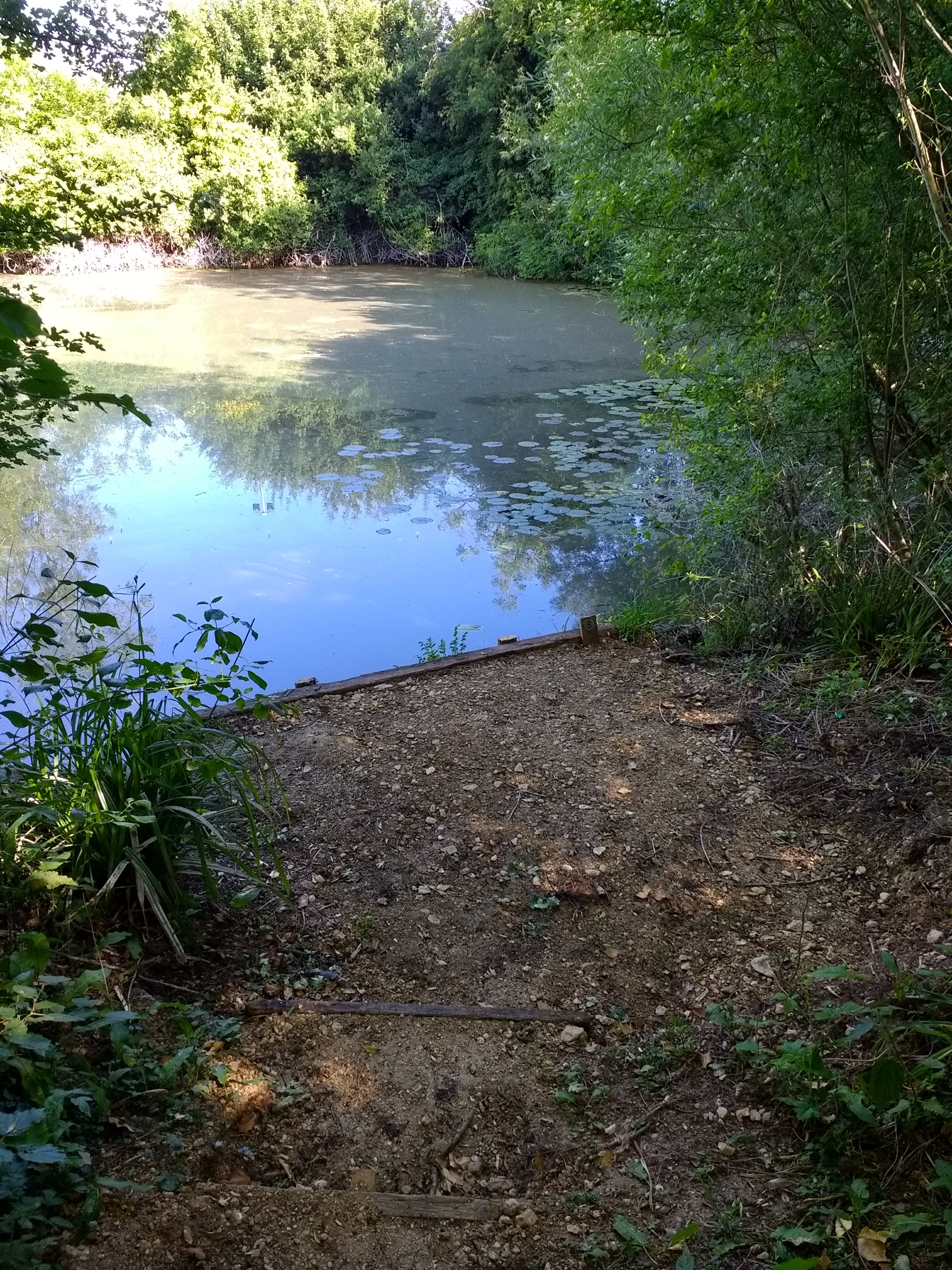 IMG_20200602_090940972_HDR